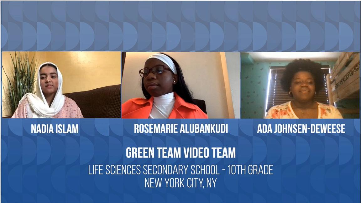 Green Team Youth Recycling Awareness