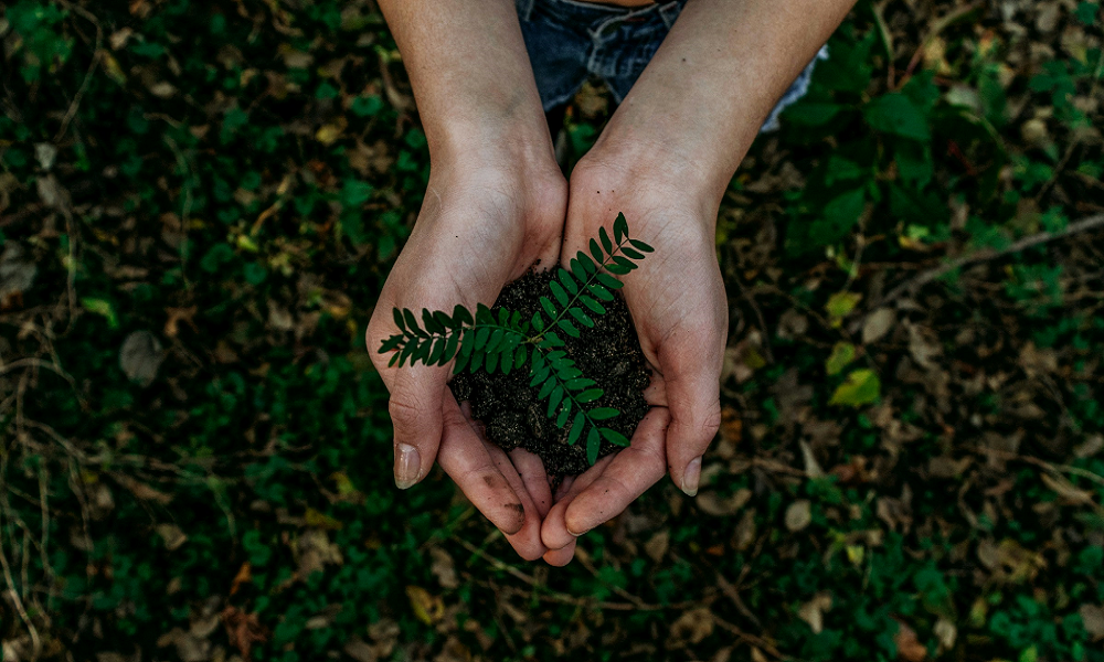 noah-buscher-x8ZStukS2PM-unsplash-3[1]