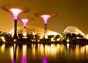 BIR-Singapore