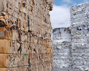 Paper_Graphic-for-30th-Anniversary-Article