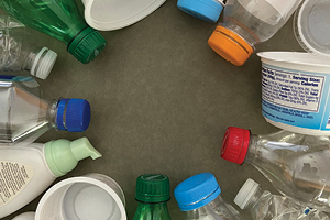 Separation Anxiety Separation Anxiety